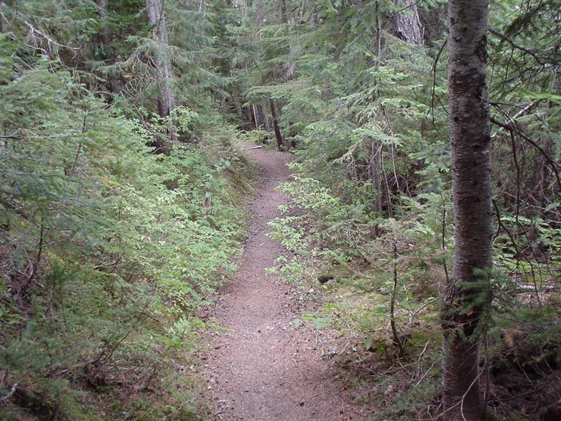 Image dsc01373.jpg