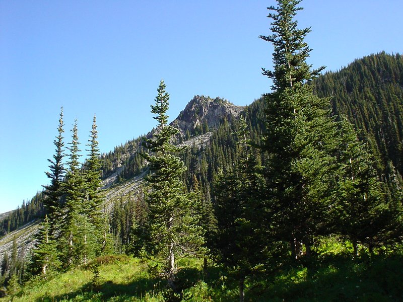 Image dsc01495.jpg
