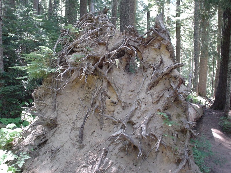 Image dsc01687.jpg